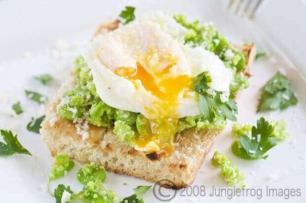 Broad beans on toast
