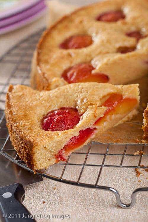 Freshly baked plumcake on a cooling rack
