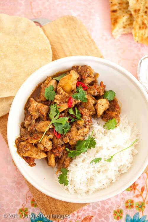 Punjabi chicken curry