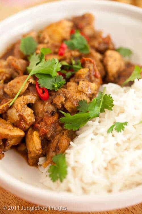 Punjabi chicken curry