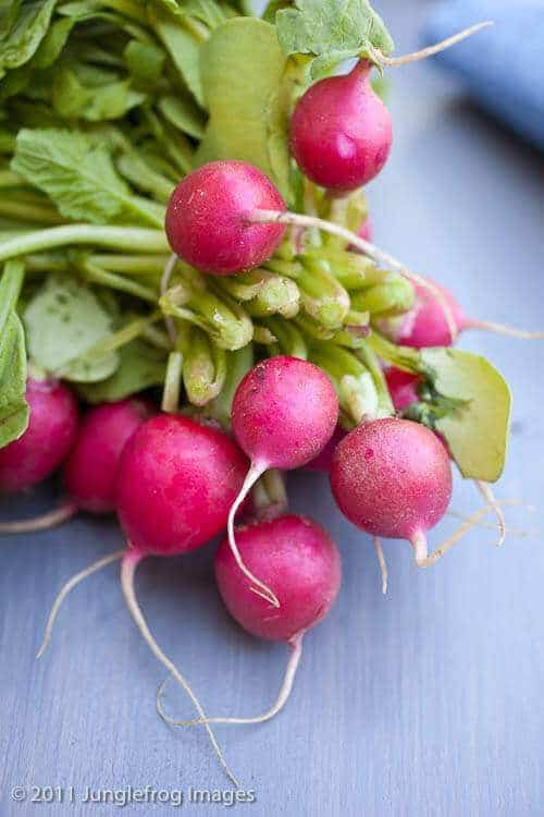 Fresh radish