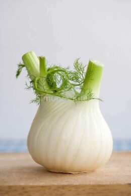 Fennel recipes