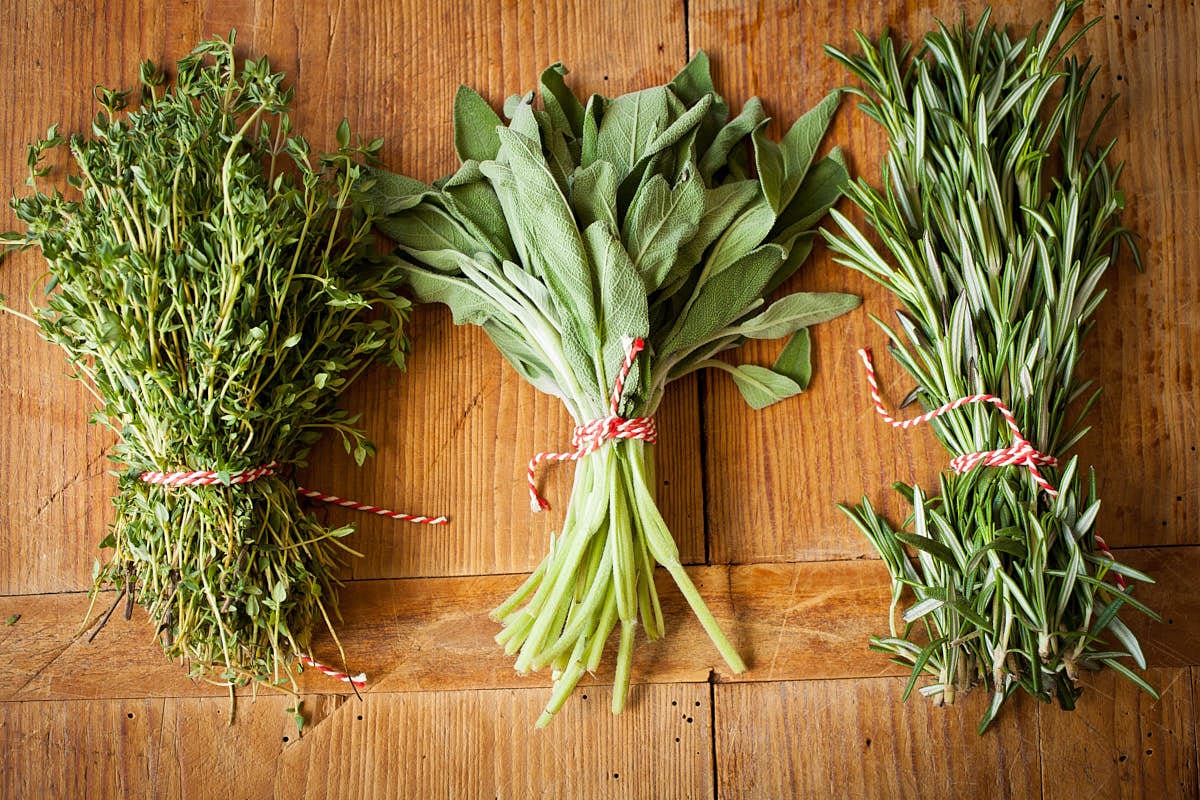 Delicious fresh herbs