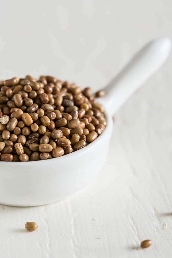 Closeup of moth beans