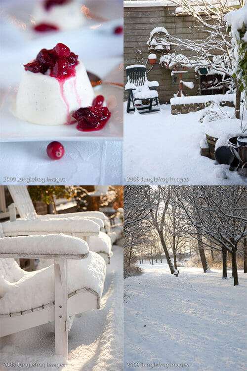 winter | insimoneskitchen.com