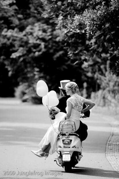 junglefrogimages-vrijecategorie