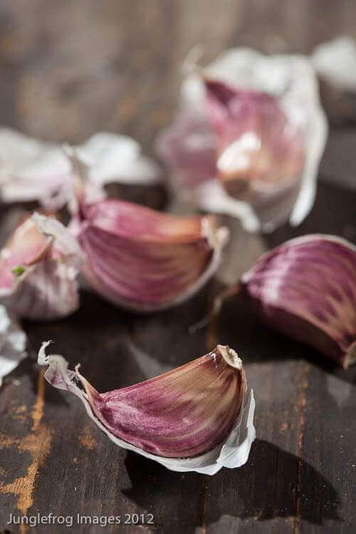 garlic shot on dark background with artificial lights | insimoneskitchen.com