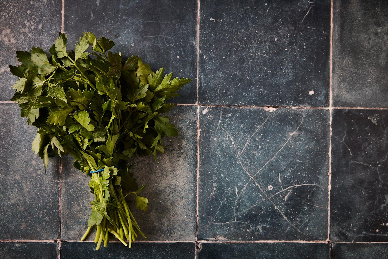 Flat leaf parsley for making parsley oil