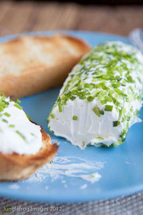 How to make goat cheese