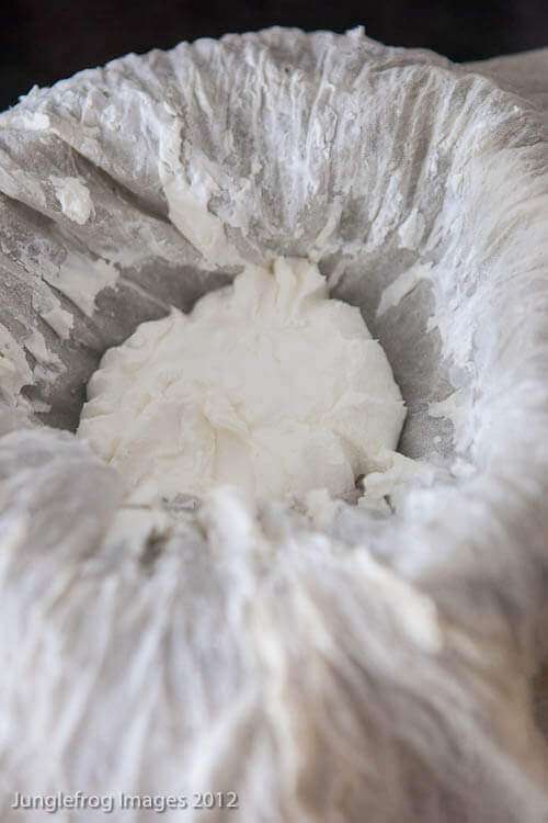 After a couple of hours the goat cheese looks like this