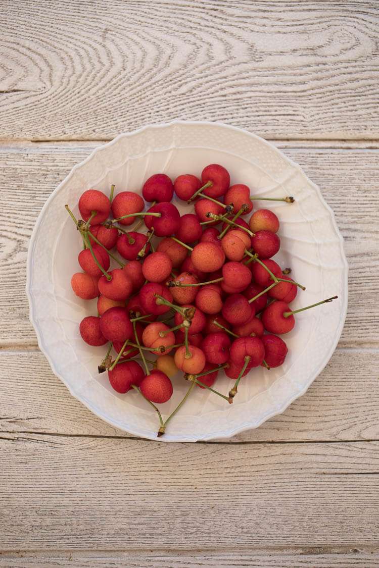 How much light is too much light | insimoneskitchen.com