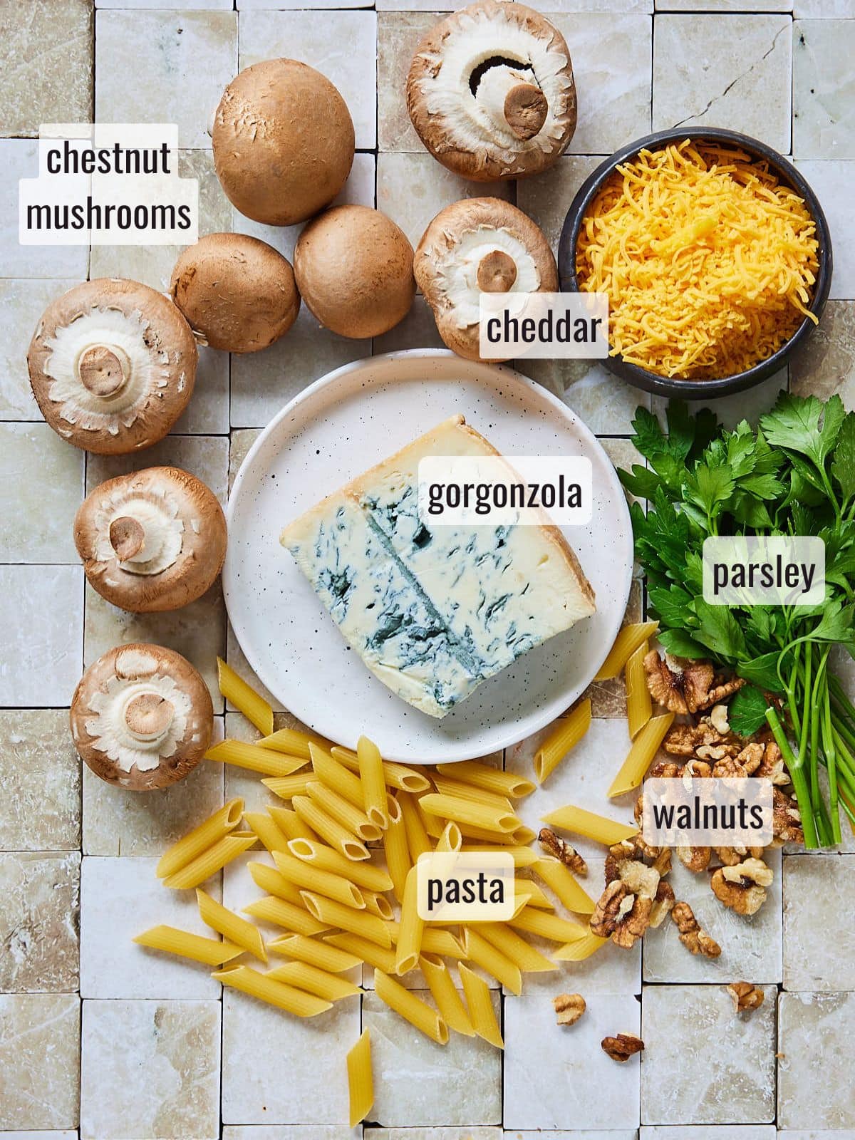 Gorgonzola pasta ingredients on a stone table