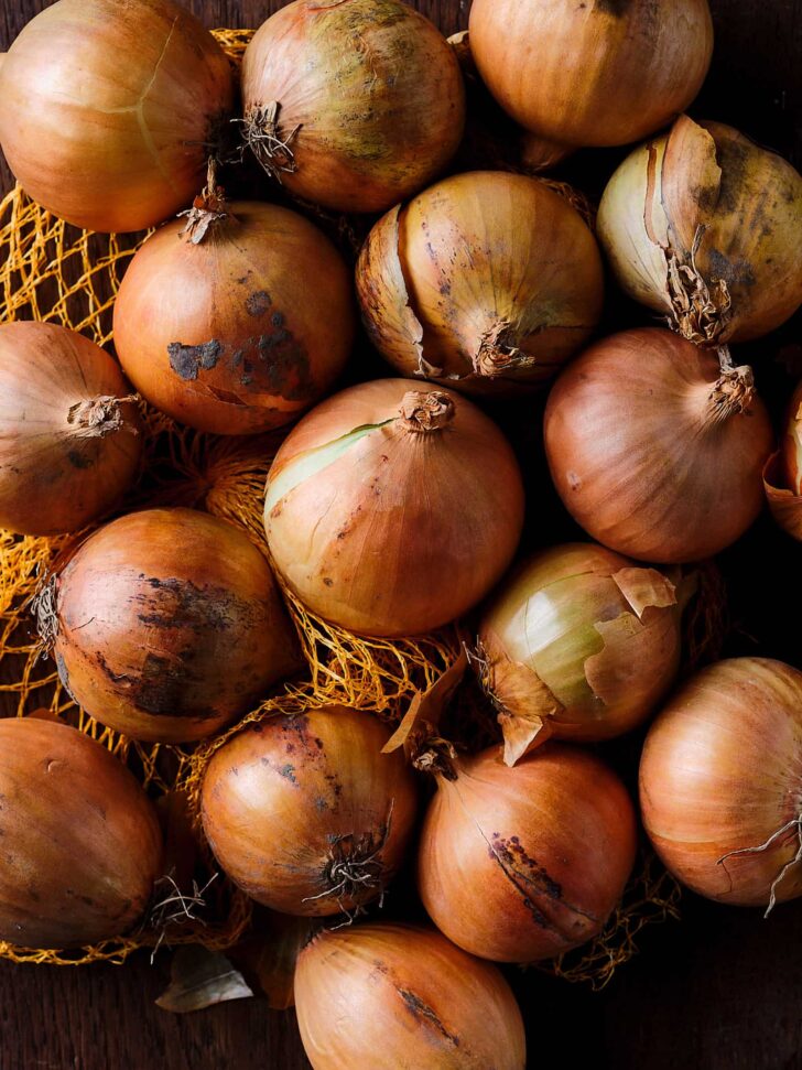 Closeup onions