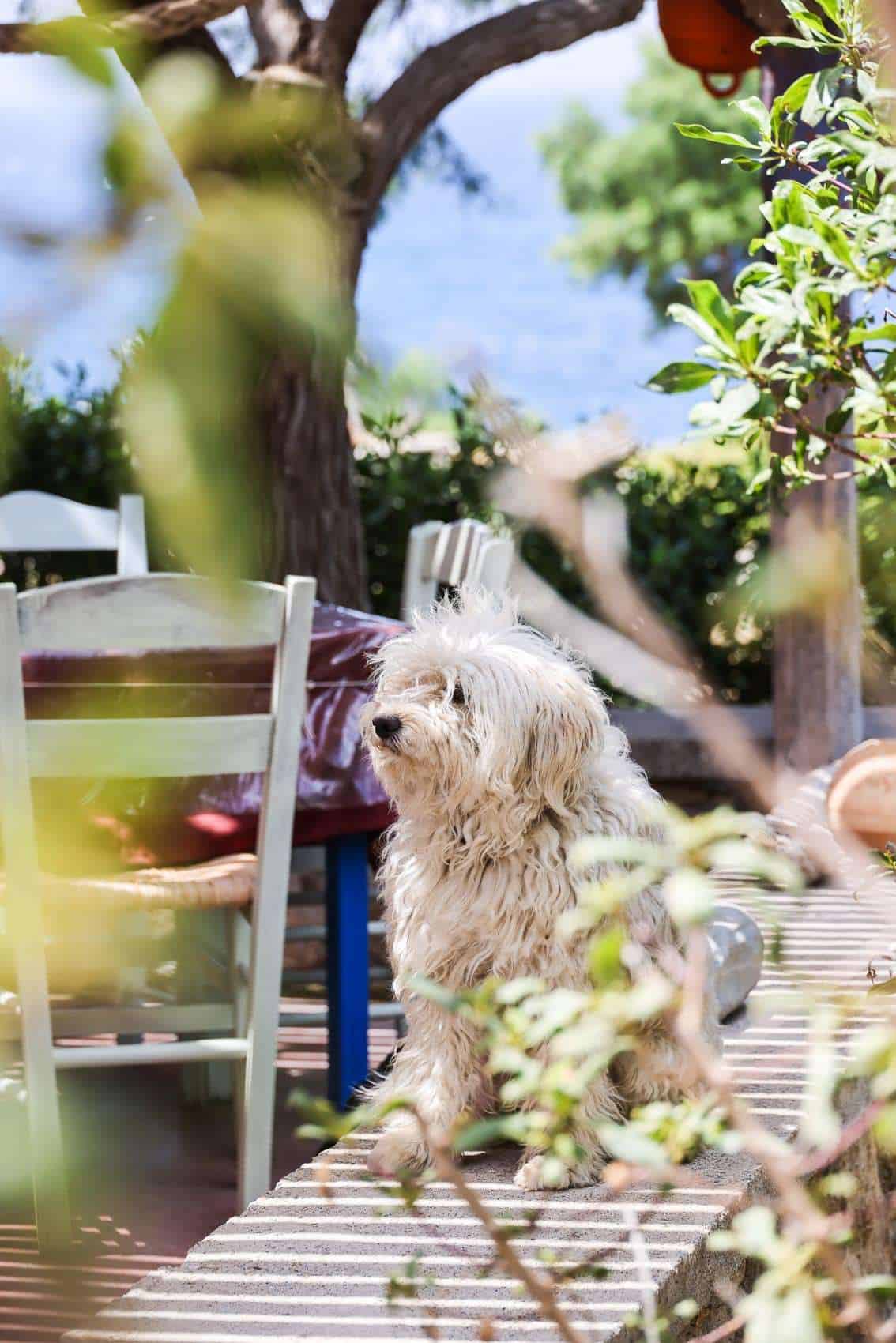 Restaurants on Karpathos