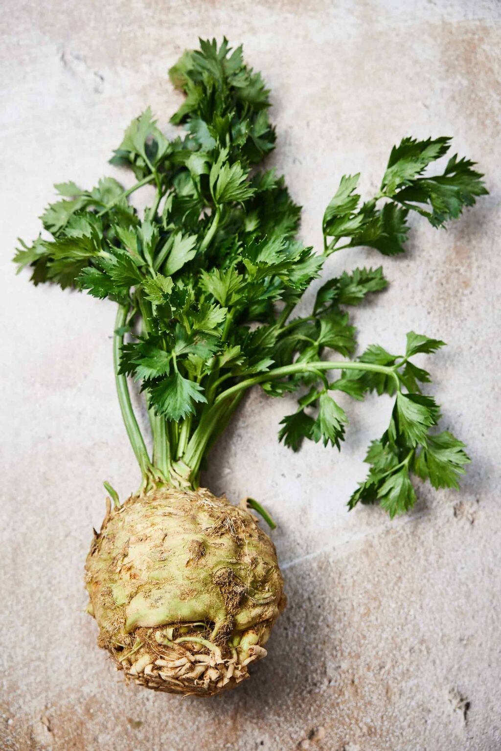 celery root or celeriac puree
