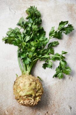 celery root or celeriac puree