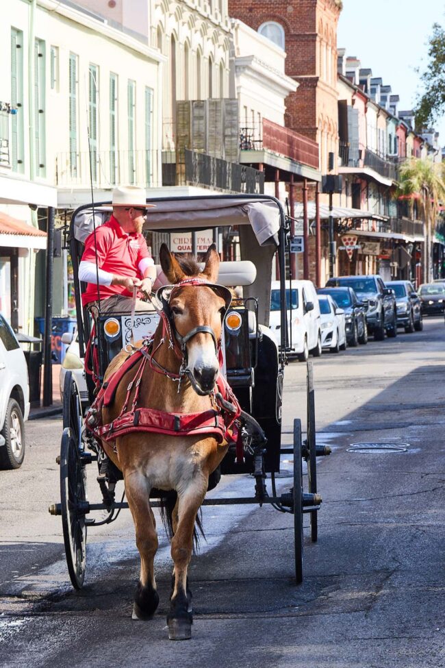 Things to do and eat in New Orleans