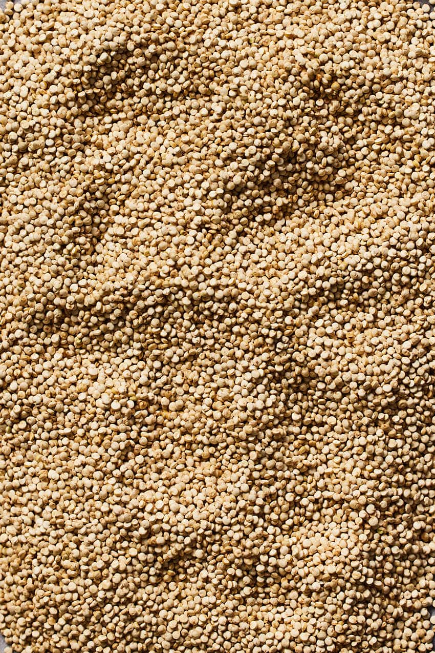 Raw quinoa closeup