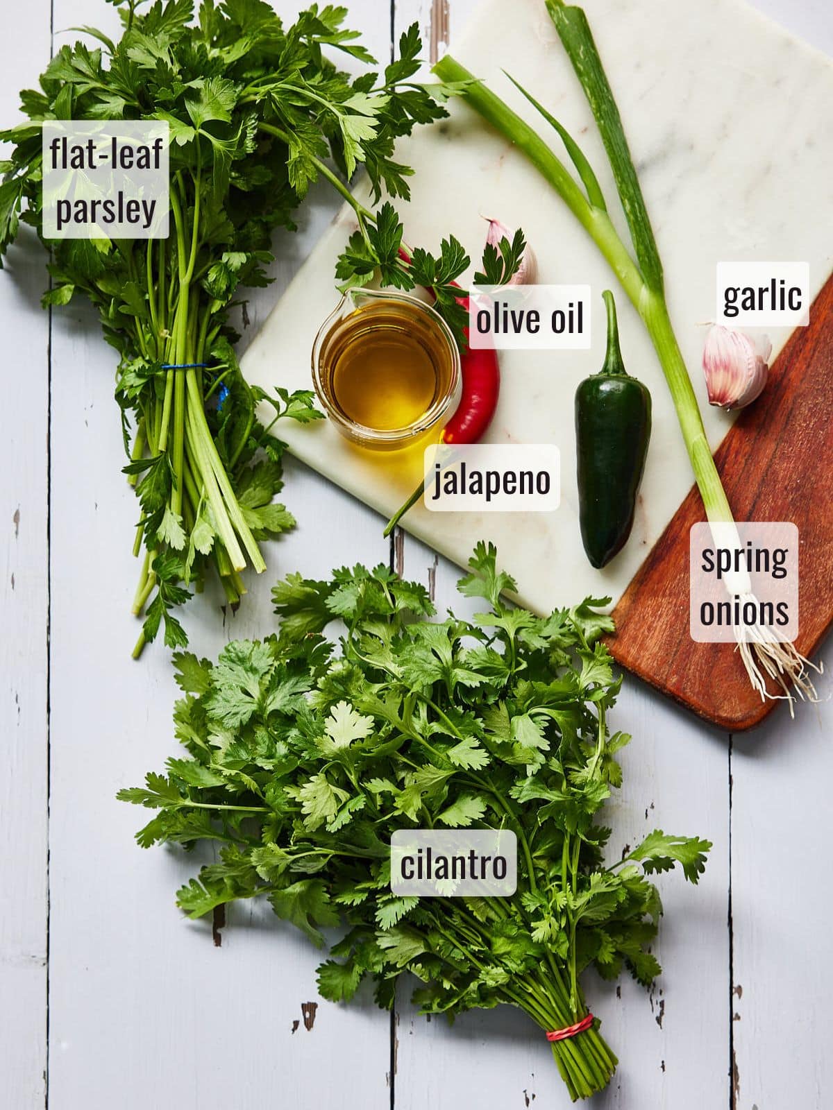 Ingredients for chimichurri recipe